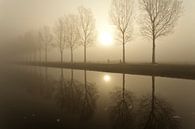 Des arbres dans le brouillard par Ron ter Burg Aperçu