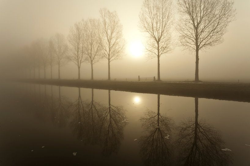 Bomen in de mist van Ron ter Burg