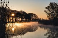 Golden sunrise in the polder