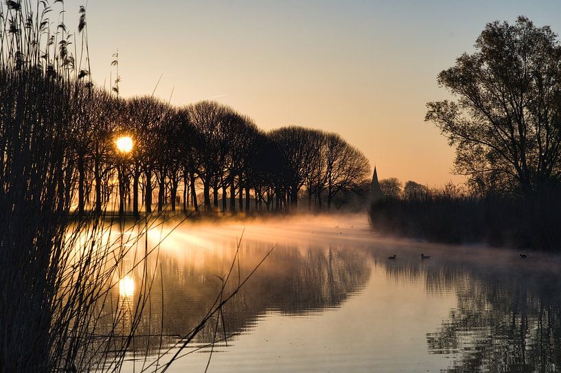 Golden sunrise in the polder by Willem Hol