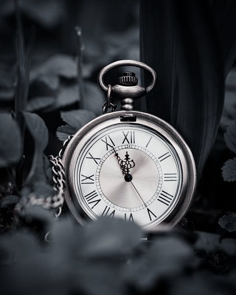 Il est minuit moins cinq ! par Jenny Kambeck