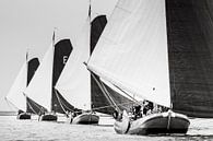 Before the wind by ThomasVaer Tom Coehoorn thumbnail