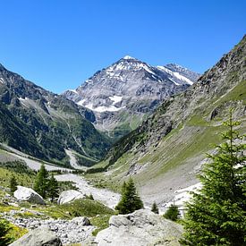Gasterntal, Zwitserland van Jarne Buttiens