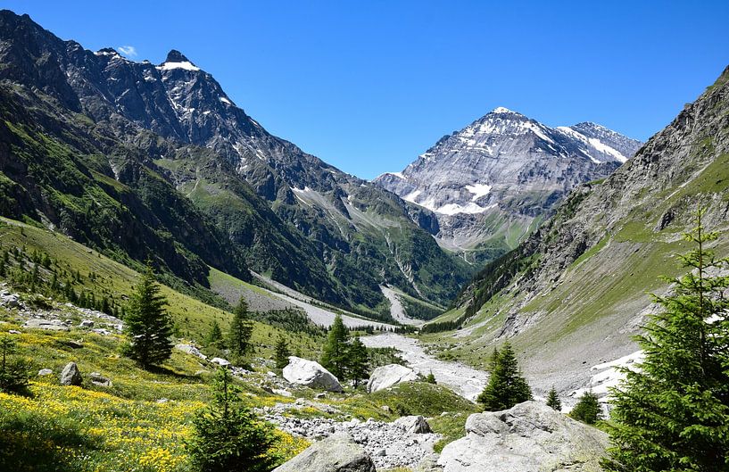 Gasterntal, Schweiz von Jarne Buttiens
