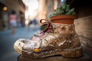 Schoen als bloempot, Italië 