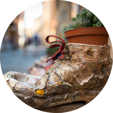 Schoen als bloempot, Italië  van Jenco van Zalk