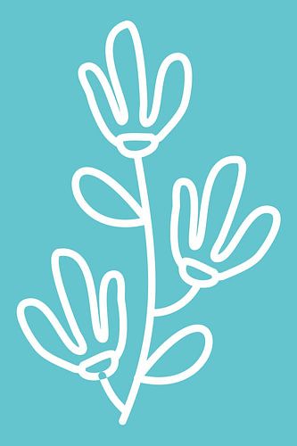 Cactus Dark Baby Blue 1.2