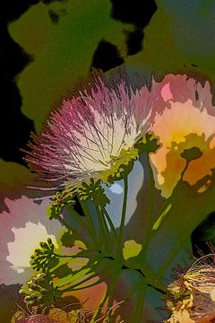 Persian silk tree flower. 3 by Alie Ekkelenkamp