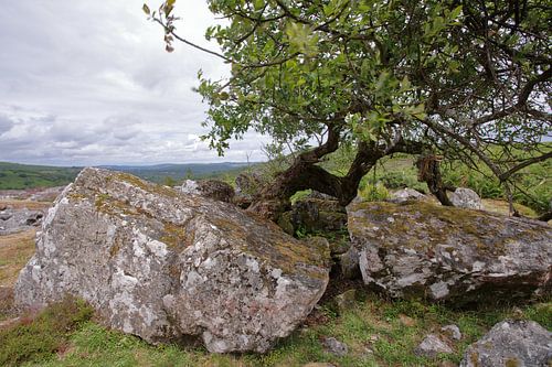 boulders Dartmoor 2