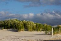 Ameland Duinen