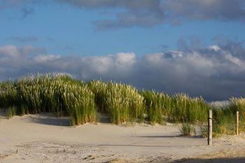 Ameland Duinen