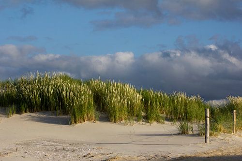 Ameland Duinen