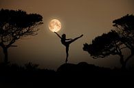 Dansen in het maanlight van Kevin Plovie thumbnail