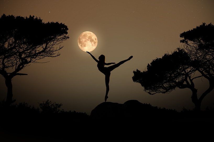 Dansen in het maanlight van Kevin Plovie