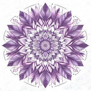 Mandala der violetten Federn