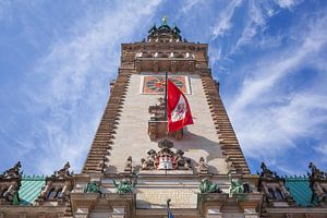 Hôtel de ville de Hambourg, Hambourg, Allemagne