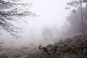 Misty morning by Ineke Klaassen