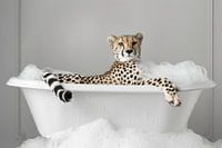 Cheetah in the bathtub - A funny bathroom picture