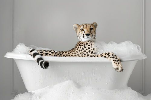 Cheetah in bad - Een grappige badkamerfoto