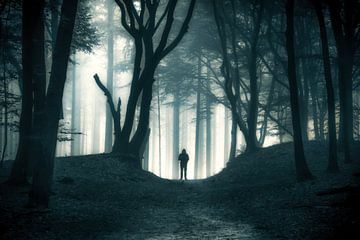 Mysterious man by Niels Barto