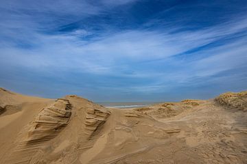 Dunes near Wassenaar by René Groeneveld