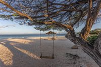 Swing