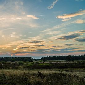 Zonsondergang op de Veluwe van Roy Debets