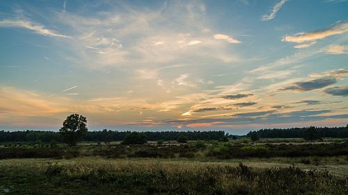 Zonsondergang op de Veluwe