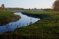 De Dommel bij Son en Breugel  van Jan Kooreman thumbnail