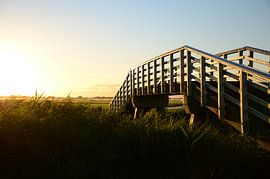 Westfriese Omringdijk 3 by Charlotte Bakker