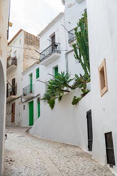 Die Straßen von Ibiza-Stadt von Didi van Dijken