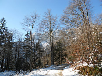 Untersberg - auf dem Weg an der Ostflanke