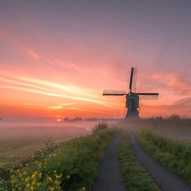 The path to the mill by Jan Koppelaar