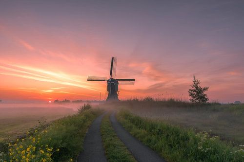 Het pad naar de molen