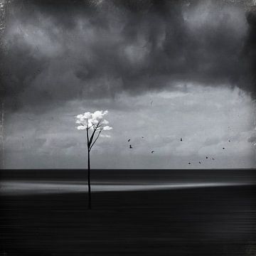 Wolkenboom - Abstracte foto compositie van Dirk Wüstenhagen