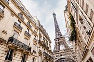 Magnificent Eiffel Tower with French street, Paris by Dana Schoenmaker thumbnail