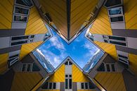 Maisons cubiques (Blaakse Bos), Rotterdam par Martijn Smeets Aperçu