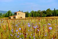 Couleur de Provence
