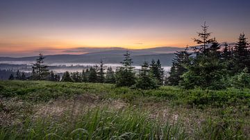 Brouillard le matin sur Steffen Henze