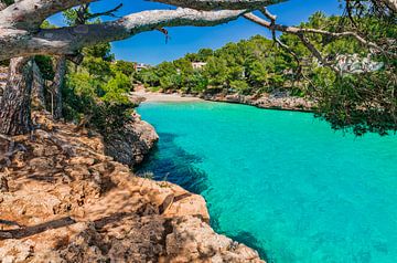 Bucht von Cala Serena, schöner Strand auf der Insel Mallorca, Spanien von Alex Winter