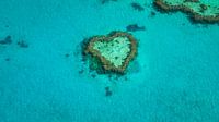 Heart Reef in the Great Barrier Reef by Martin Wasilewski thumbnail