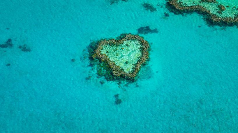 Heart Reef in the Great Barrier Reef by Martin Wasilewski