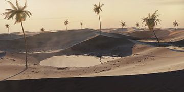 Zandduinen met wateroases en palmbomen van Besa Art