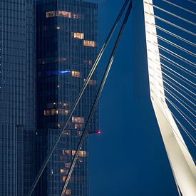 Skyline Rotterdam von 24 liquidmedia