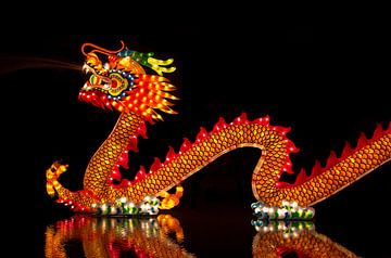 Chinese Dragon von Wouter Kok