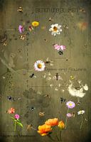 Bees and flowers