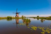 Windmills on Kinderdijk Holland van Brian Morgan thumbnail