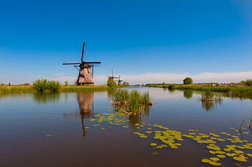 Windmills on Kinderdijk Holland