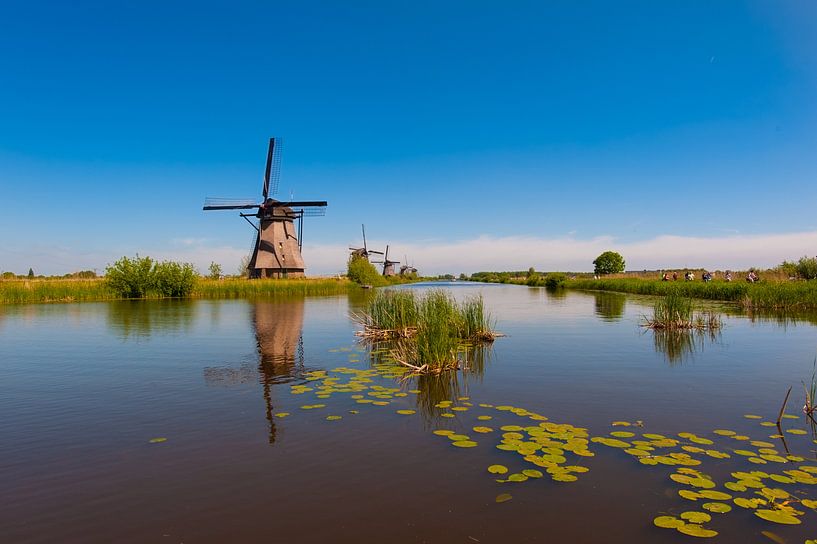 Windmills on Kinderdijk Holland van Brian Morgan