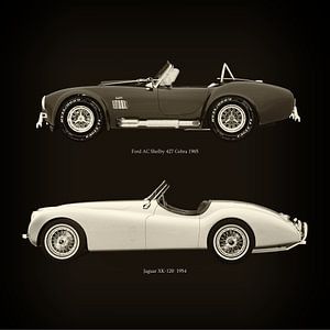 Ford AC Shelby 427 Cobra 1965 und Jaguar XK-120 1954 von Jan Keteleer